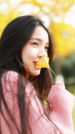 成人导航网站分类展示