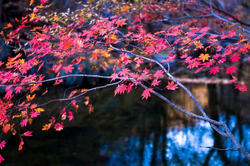 成人福利社推荐内容